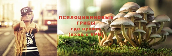 стаф Алексеевка