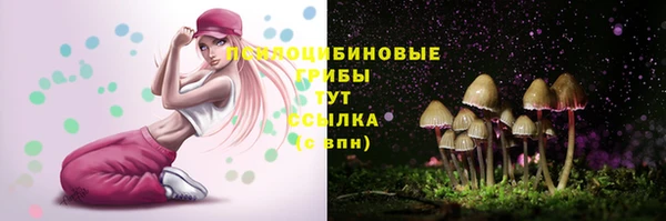 стаф Алексеевка
