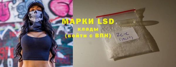 прущий лед Алзамай