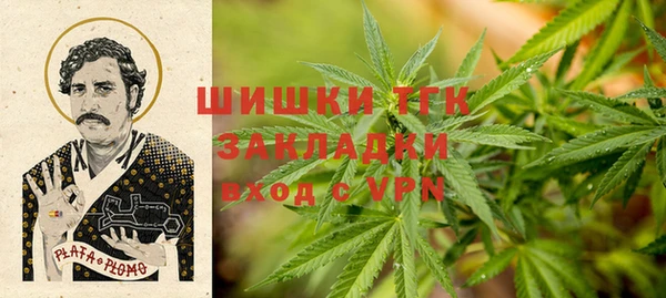 стаф Алексеевка