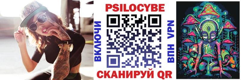 наркотики  Элиста  Псилоцибиновые грибы прущие грибы 