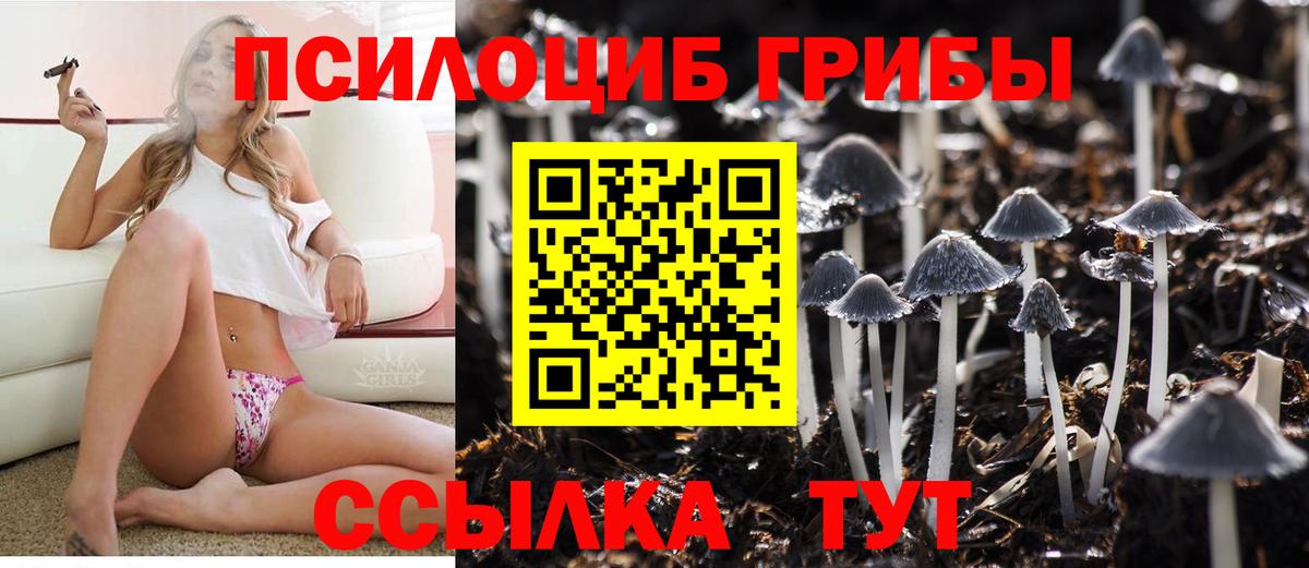 Элиста  Галлюциногенные грибы GOLDEN TEACHER  Вход с VPN 