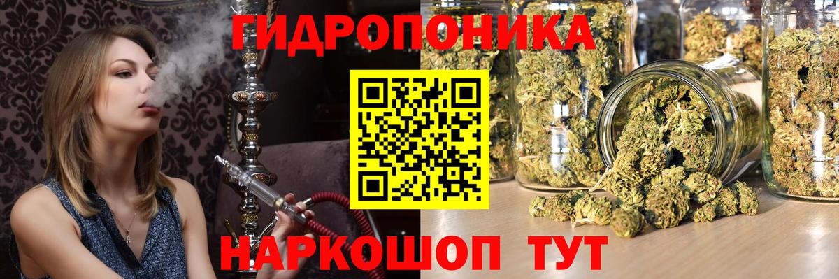 Конопля Bruce Banner  Вход с VPN  МАРИХУАНА сатива  Элиста  Бошки марихуана марихуана 